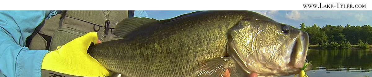 Lake Tyler Fishing and Water Levels